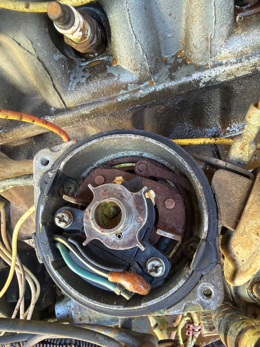 Distributor with the cap and rotor off: four-lobe reluctor and a crescent magnetic pickup, no contact breaker